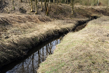 Eulenspiegler Teich Zellerfeld Oberharzer Wasserwirtschaft Bilder